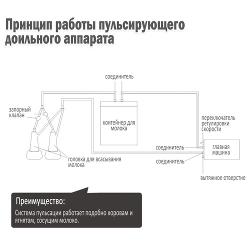 Дойка Члена Доильным Аппаратом Порно Видео | hostel3chemodana.ru