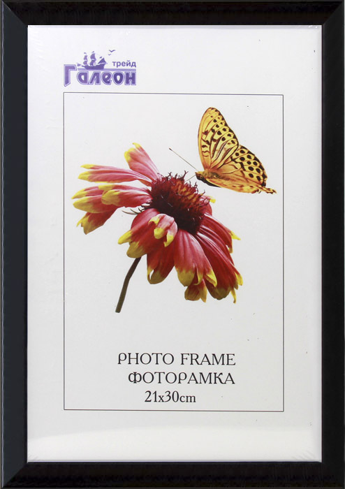 Фоторамка пластиковая 21 х 30 см, 1504A-012C