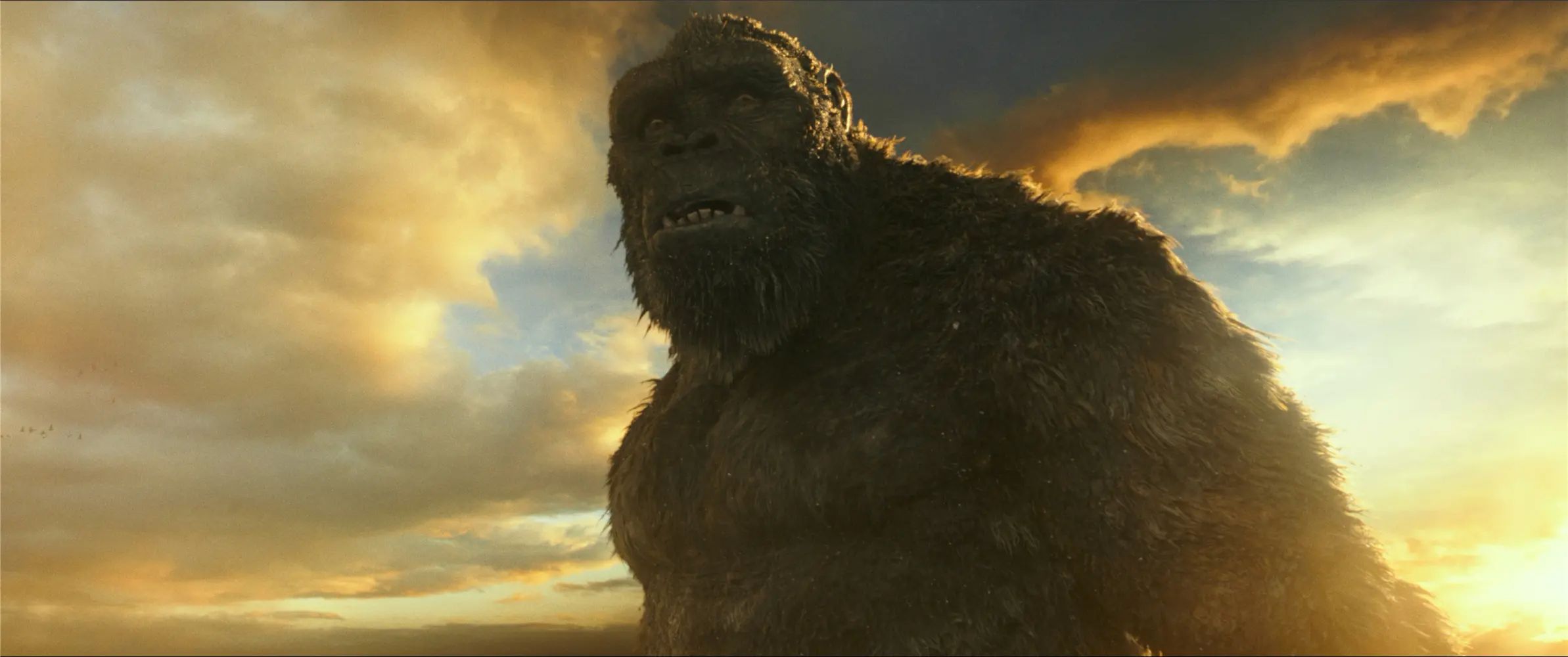 Конг 2025. Kong 2021. Конг 2025. Конг 2025. Энди сёркис кинг конг.