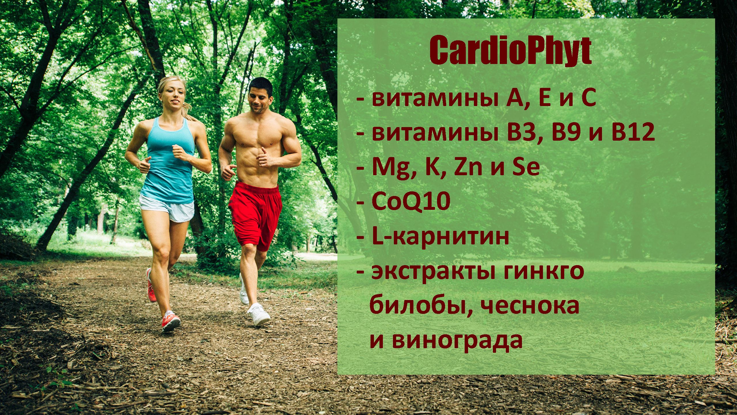 Витамины для сердца и сосудов CardioPhyt Santegra США 60 капсул ...