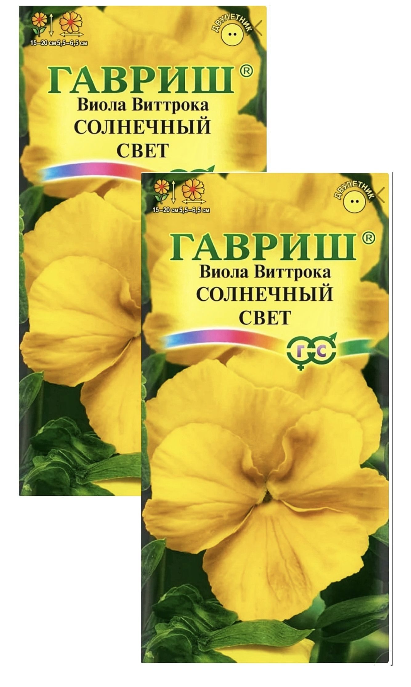 Виолла - солнечный день - 40 фото Виолла - солнечный день - 40 фото