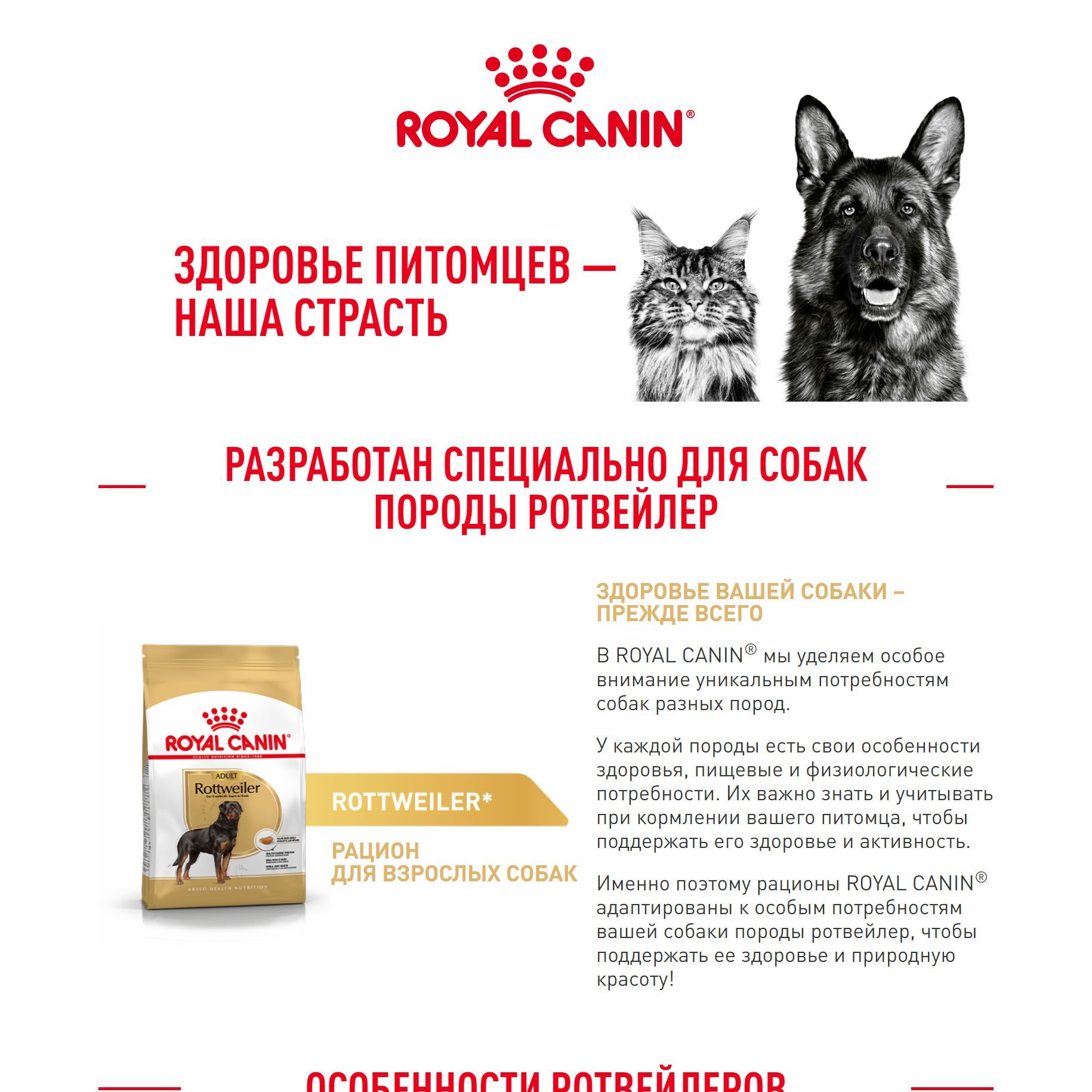 Royal Canin корм для взрослой собаки породы Ротвейлер 12 кг - купить с ...