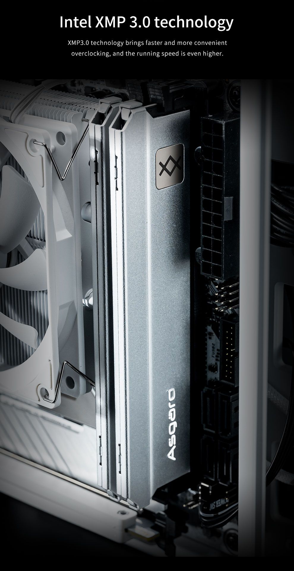 Asgard ddr5. Оперативная память asgard ddr5.