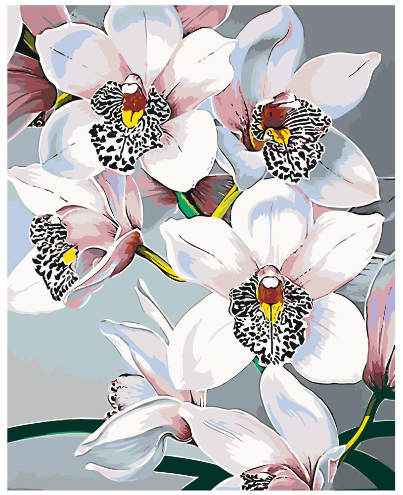 картина по номерам орхидея