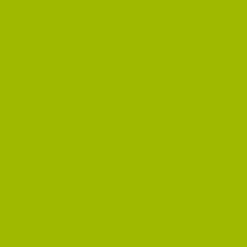 Краска-аэрозоль MTN 94 Line 125 неон зеленый 400мл #1