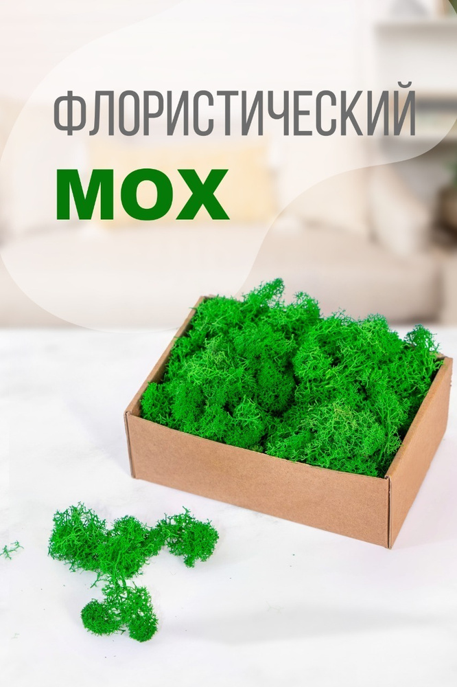 Moss Green Стабилизированный мох Мох, 100 гр #1