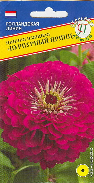 Цинния изящная "Пурпурный принц" 20 шт, семена Престиж #1