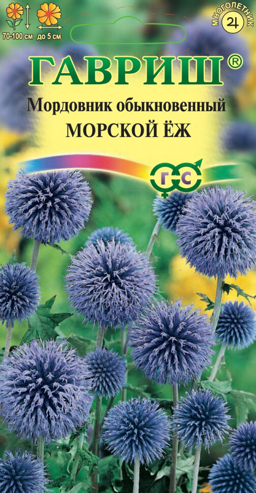 Семена МОРДОВНИК многолетняя МОРСКОЙ ЕЖ (0,3 грамм) Гавриш  #1