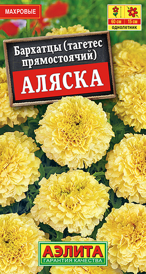 Бархатцы "Аляска" Семена цветов Аэлита, 0,3 гр #1