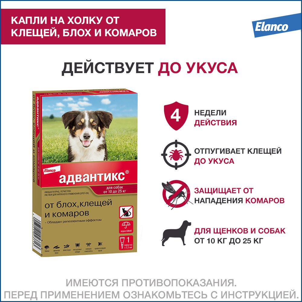 Адвантикс® для собак от 10 до 25 кг для защиты от блох, иксодовых клещей и  летающих насекомых и переносимых ими заболеваний. 1 пипетка в упаковке. -  купить с доставкой по выгодным ценам