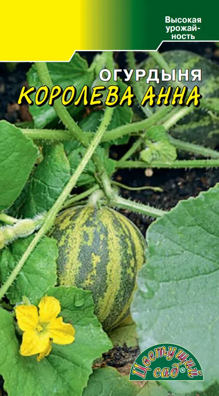 Разнообразные овощи Цветущий сад Огурдыня Королева Анна - купить по  выгодным ценам в интернет-магазине OZON (668760271)