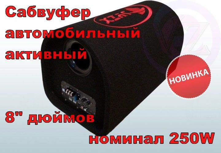 Автомобильный Сабвуфер 8 дюймов (20 см) 250W Rated Power / Активный Сабвуфер 8" SYZX 250W nominal  #1