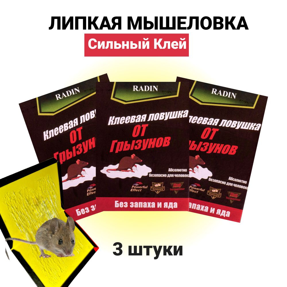 Клеевая ловушка от грызунов Radin без запаха и яда 3 шт. мышеловка  картонная, средство от мышей и тараканов, клей для вредителей, ловушка для  крыс, капкан для грызунов - купить с доставкой по