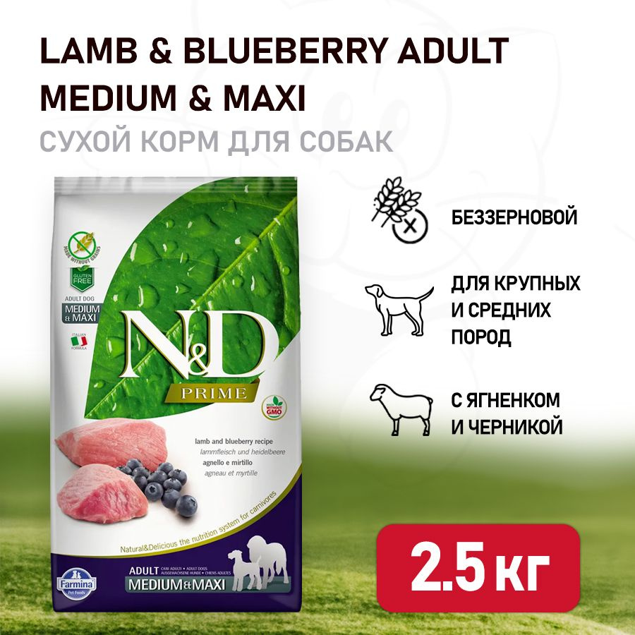 Grain free clearance lamb