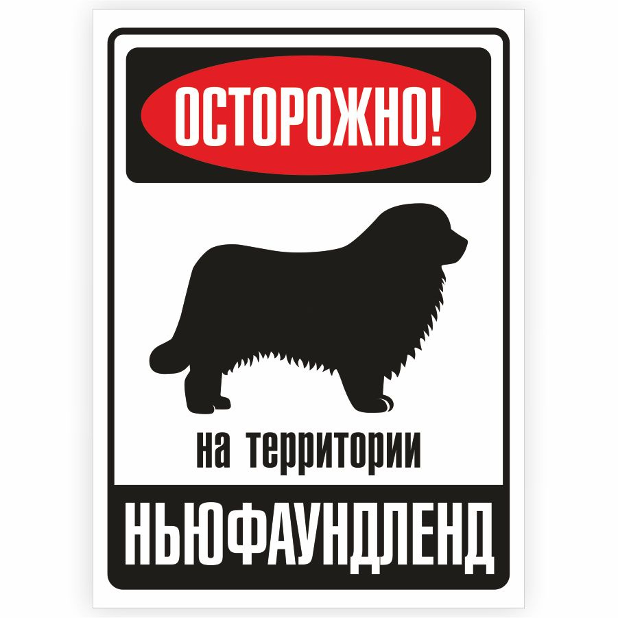 Табличка, металлическая, DANGER DOG, Осторожно! На территории Ньюфаундленд, 18x25 см  #1