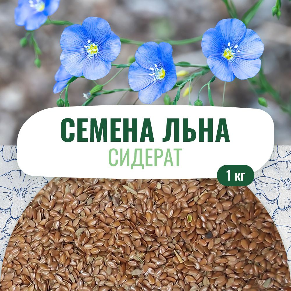 Лён семена 1 кг. сидерат медонос для улучшения почвы #1