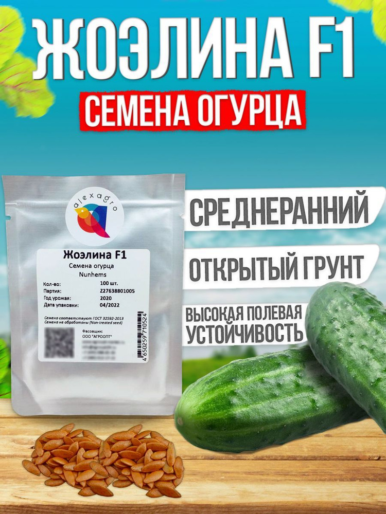 Жоэлина F1 семена огурца среднеранние, 100 шт. (Nunhems / ALEXAGRO). Высокоурожайный, партенокарпический #1