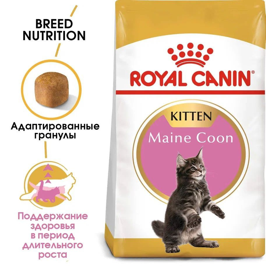 Сухой корм для котят породы мейн-кун Royal Canin Maine Coon Kitten, с  курицей, 2 кг - купить с доставкой по выгодным ценам в интернет-магазине  OZON (30110716)