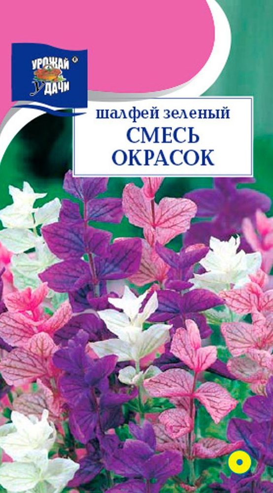 Семена Шалфей зеленый Смесь окрасок (Семена УРОЖАЙ УДАЧИ, 0,2г в упаковке)  #1