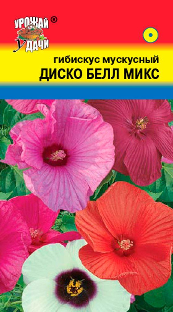 Гибискус ДИСКО БЕЛЛ F1 микс (Семена УРОЖАЙ УДАЧИ, 0,02 г семян в упаковке)  #1