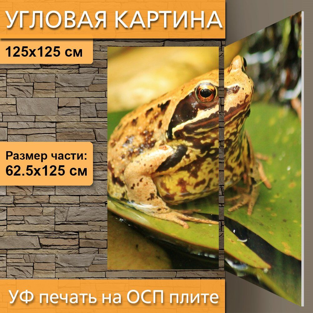 Угловая модульная картина 