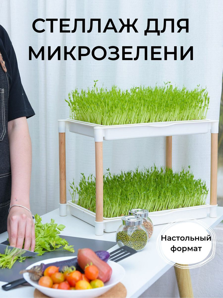 Проращиватель семян и микрозелени - стеллаж для выращивания - купить с  доставкой по выгодным ценам в интернет-магазине OZON (965955544)