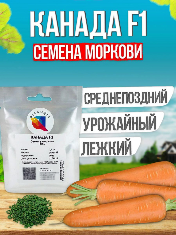 Канада F1 семена моркови, 0,5 гр. (Bejo / ALEXAGRO). Высокоурожайный гибрид шантане для открытого грунта #1