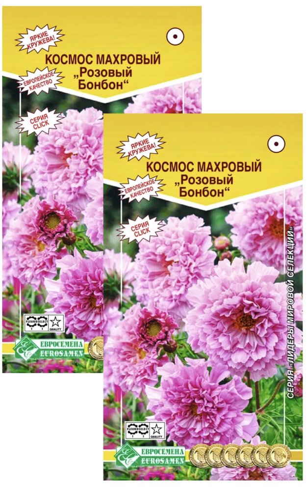 Космос махровый РОЗОВЫЙ БОНБОН, 2 пакета, семена 0,05 гр, Евросемена  #1