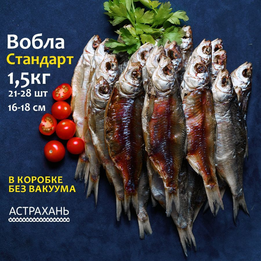 Вобла астраханская с икрой Стандарт 1,5 кг (16-18 см) в коробке без вакуума  вяленая рыба закуска к пиву - купить с доставкой по выгодным ценам в  интернет-магазине OZON (1020333127)