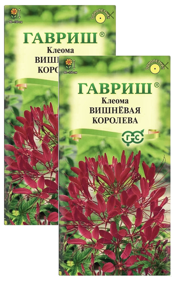 Клеома Вишневая королева, 2 пакета, семена 0,3 гр, Гавриш #1