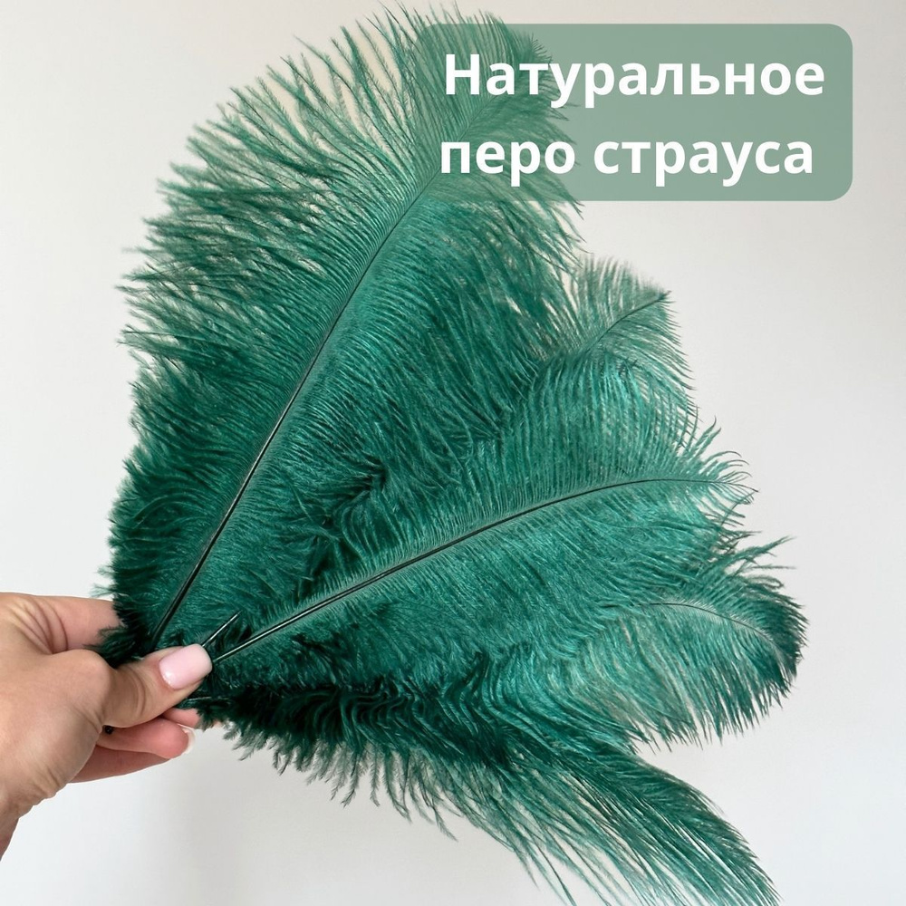 Перья страуса натуральные, изумрудные, 25-30см, 1шт #1