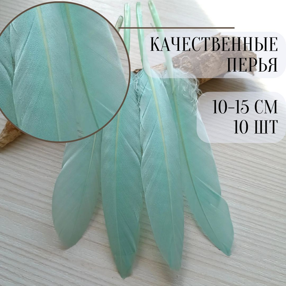 Гусиные перья. 10 шт. 10-15 см. Мята. Для декора и рукоделия. ПероМарго ...