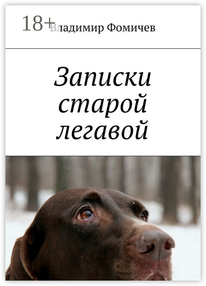 Записки старой легавой #1