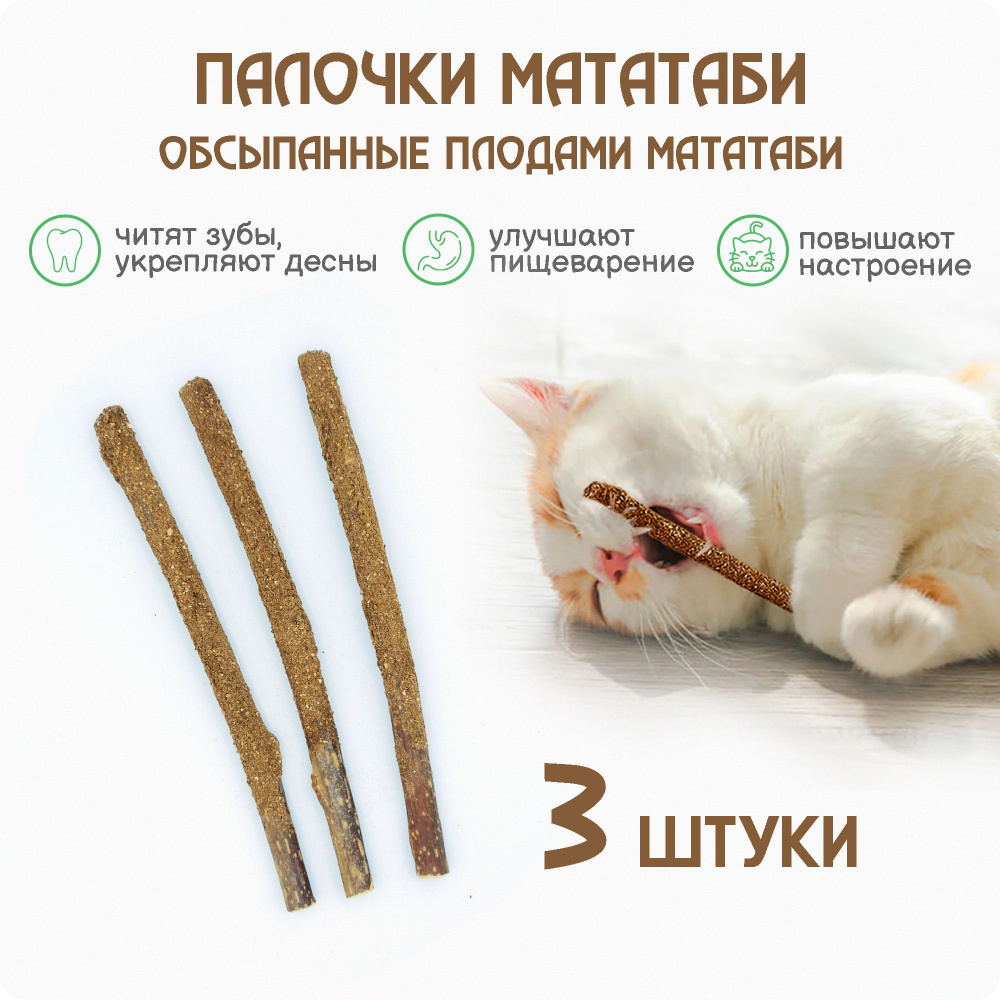 Палочки МАТАТАБИ с плодами, 3 штук / Игрушки для кошки для чистки зубов -  купить с доставкой по выгодным ценам в интернет-магазине OZON (1069260414)