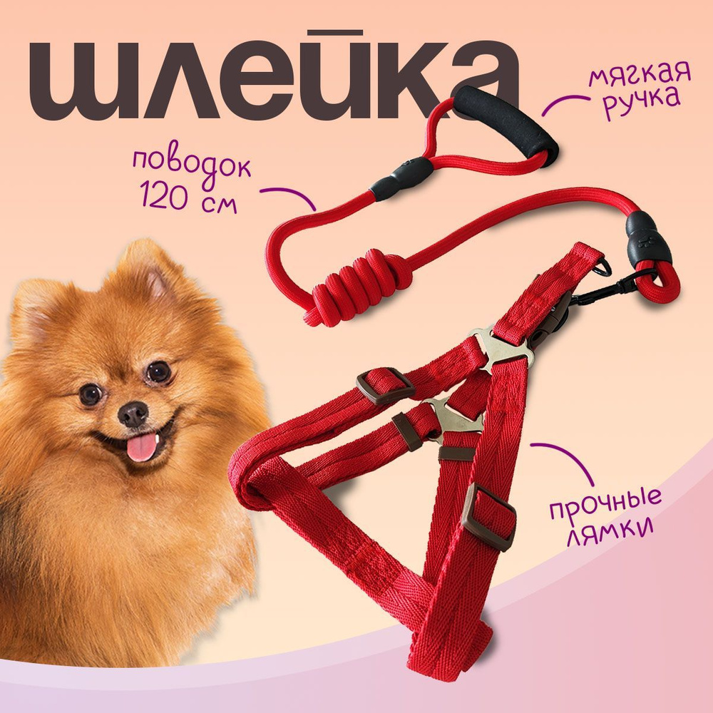 Шлейка для собак и кошек MiloPets, с поводком 120 см, обхват груди M 36-49  см, цвет красный