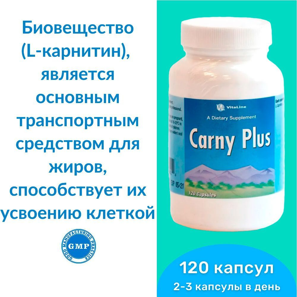 Карни-Плас Виталайн / Carny Plus (капсулы по 350 мг) - биовещество L-карнитин  #1