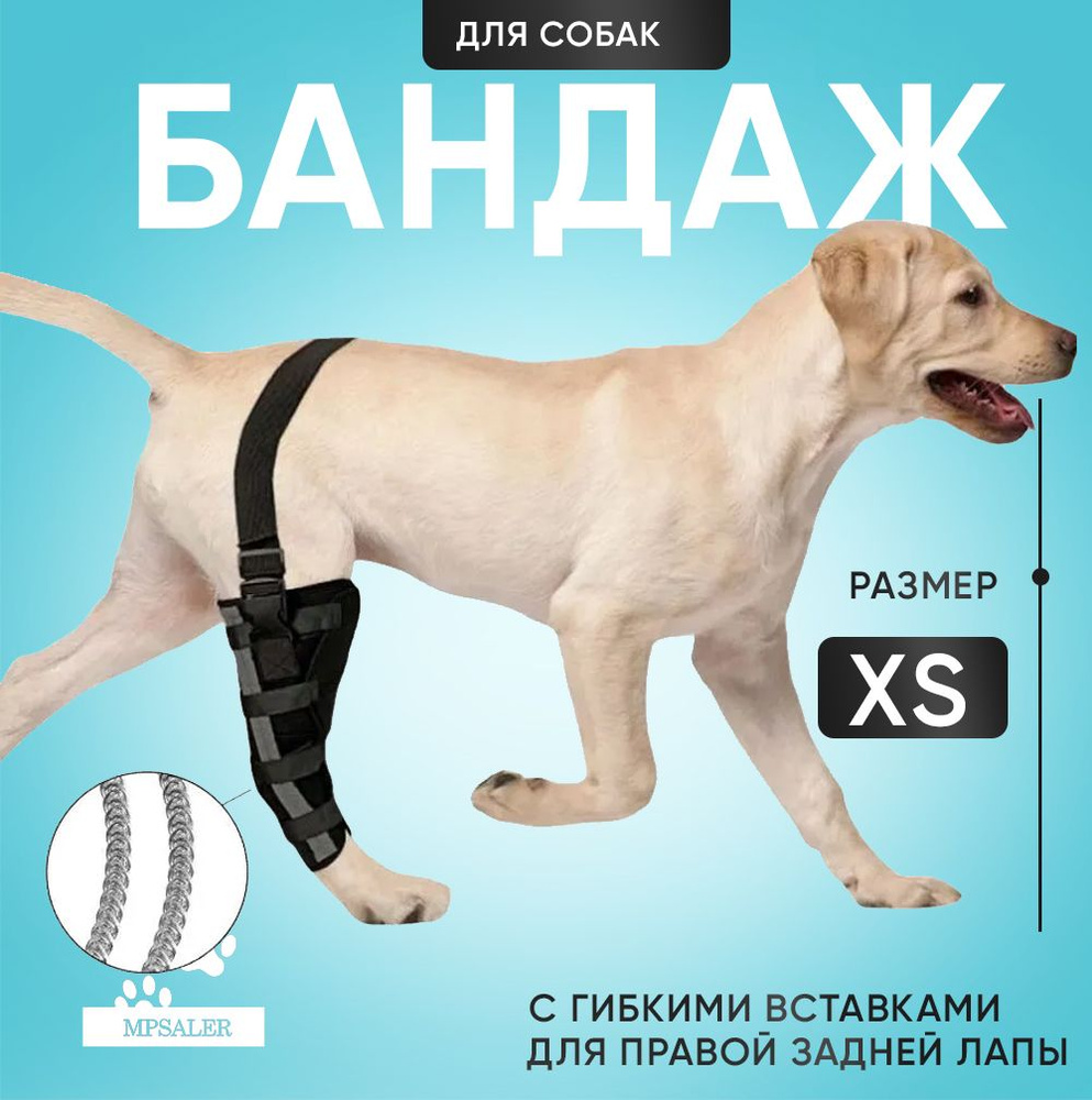 Бандаж для лап собак ветеринарный XL Mr Dog купить в интернет-магазине Wildberries