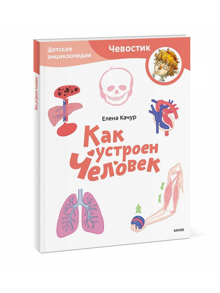 Как устроен человек. Детская энциклопедия | Качур Елена Александровна  #1