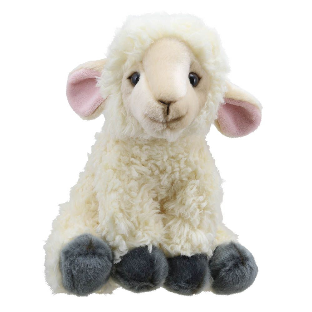 Мягкая Овечка 28 см, Великобритания, Lamb Soft Toy - купить с доставкой по  выгодным ценам в интернет-магазине OZON (1020509737)