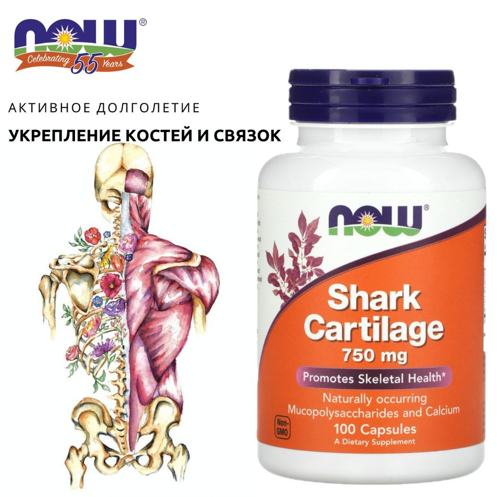 Укрепление костей и связок. Now Акулий хрящ Shark Cartilage 750mg (100капс)  #1