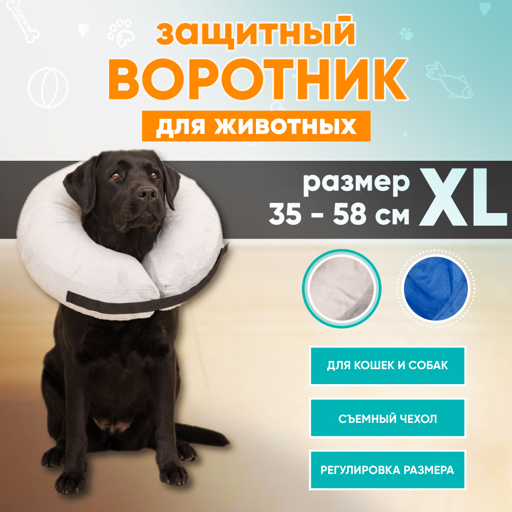 Купить защитный воротник для кошек и собак по выгодной цене в Новосибирске