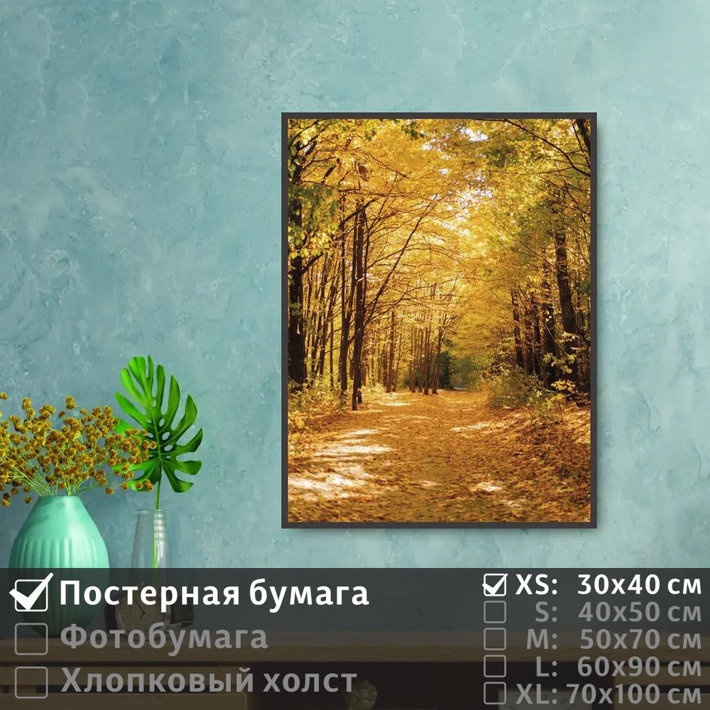 Постер на стену Тропинка В Осеннем Лесу 30х40 см ПолиЦентр #1