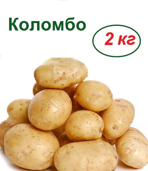 Картофель Семенной Чароит – купить на OZON по низкой цене
