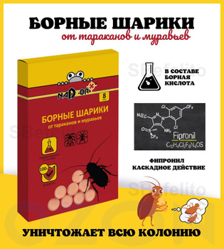 Как избавиться от тараканов в домашних условиях: самые лучшие средства