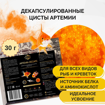 Tetra Goldfish Menu — купить в интернет-магазине OZON по выгодной цене