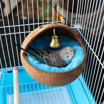 Дом и гнездо для попугаев: особенности выбора, требования, правила изготовления