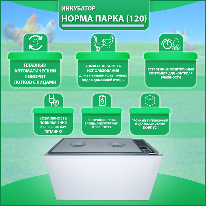 Инкубатор Норма Парка Цифровой 120 яиц, 220/12В - купить с доставкой по ...
