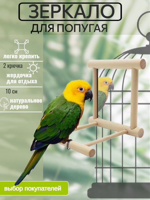 Зеркало для попугая - купить с доставкой по выгодным ценам в интернет ...