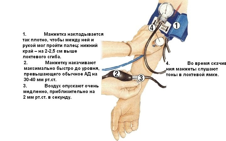 Текстовое описание изображения