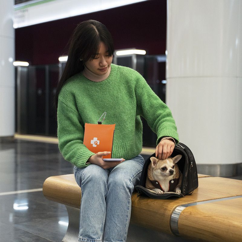 Ветеринарная аптечка первой помощи для домашних животных, 17 ...